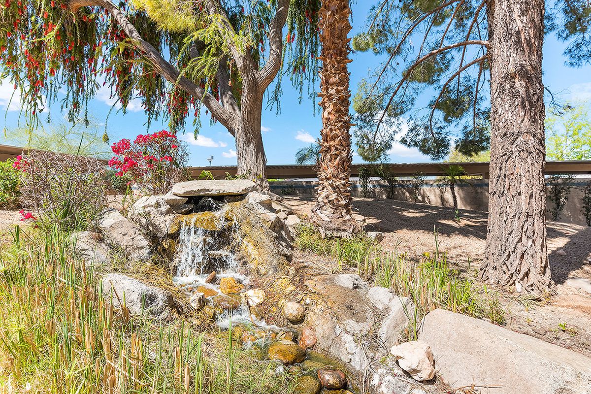A small garden waterfall surrounded by rocks and trees on a sunny day.
