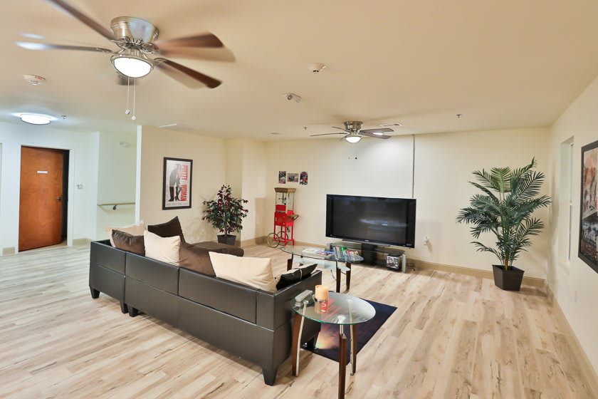 A spacious, modern living room with a large sofa, television, and ceiling fans. The wooden flooring complements the contemporary decor, enhanced by decorative plants and a glass coffee table.