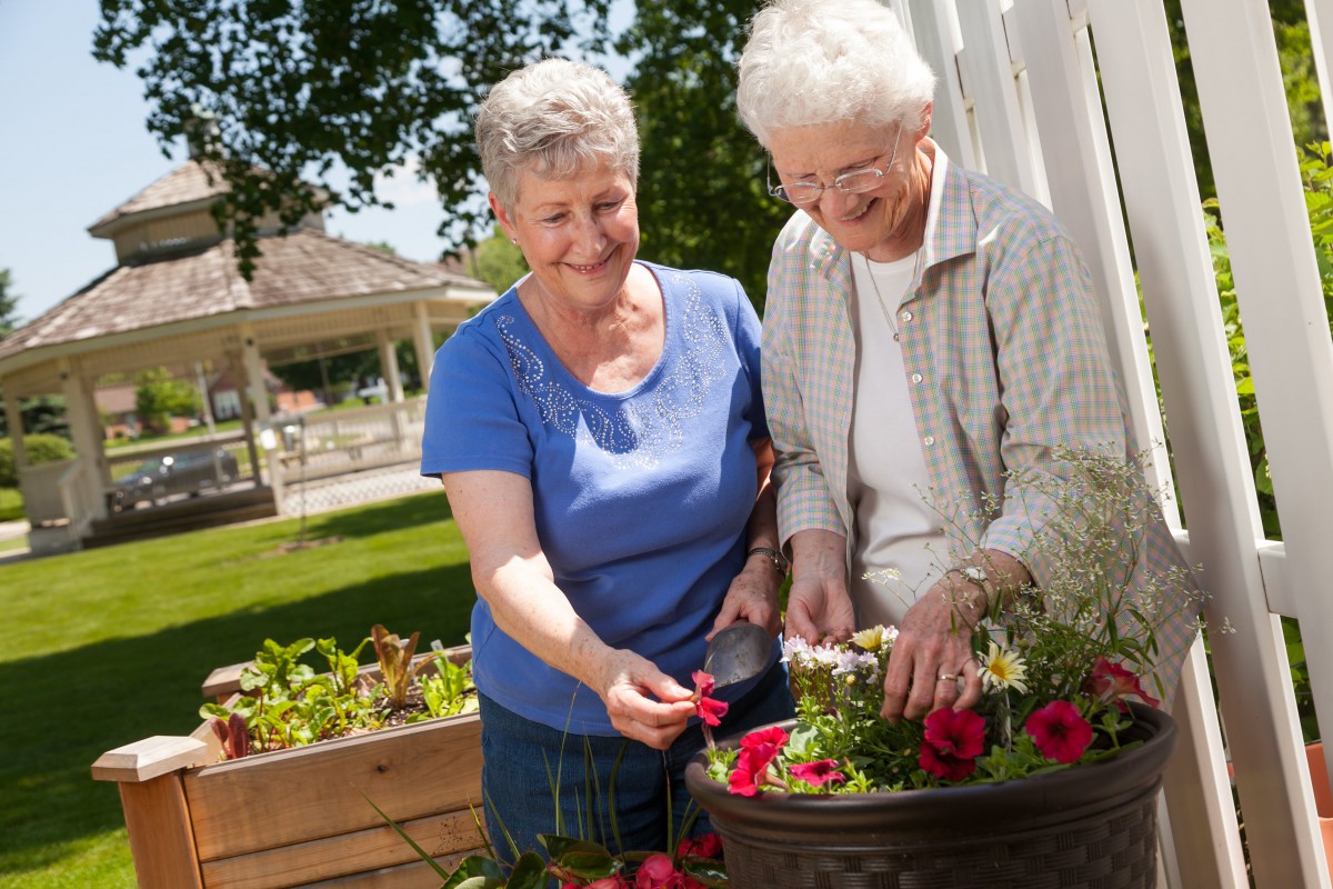 Two elderly women enjoying gardening together in a sunny outdoor setting.