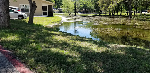 A serene view of a small pond reflecting the surrounding greenery.