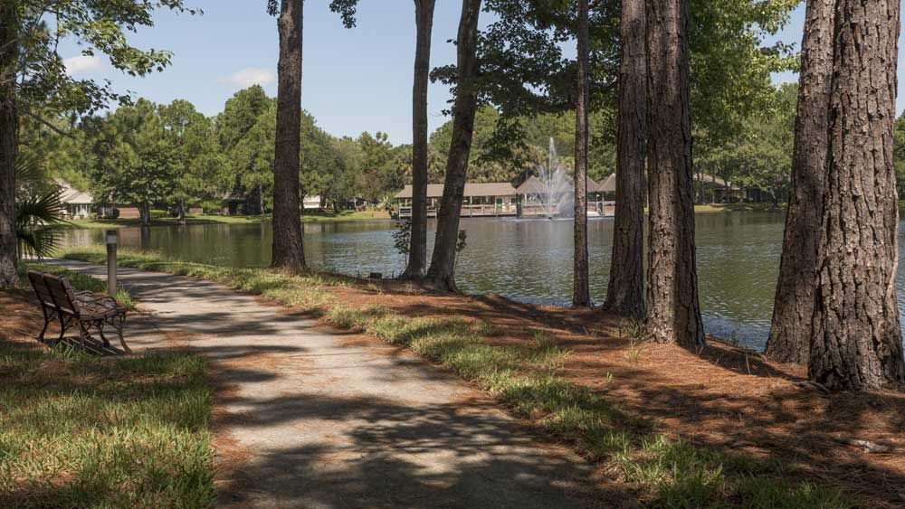 A tranquil lakeside pathway surrounded by trees with a distant view of a fountain.