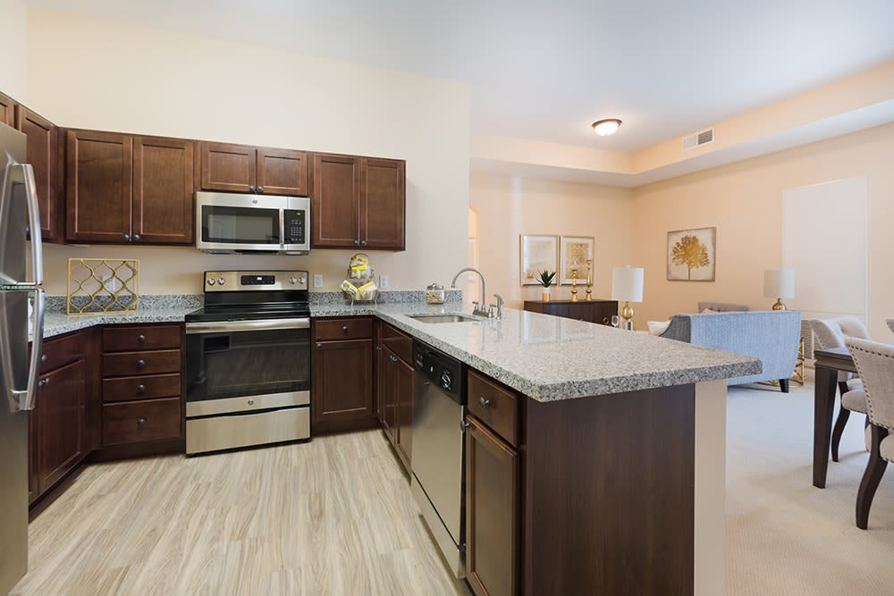 A modern kitchen with stainless steel appliances and wooden cabinetry in an open-layout apartment.