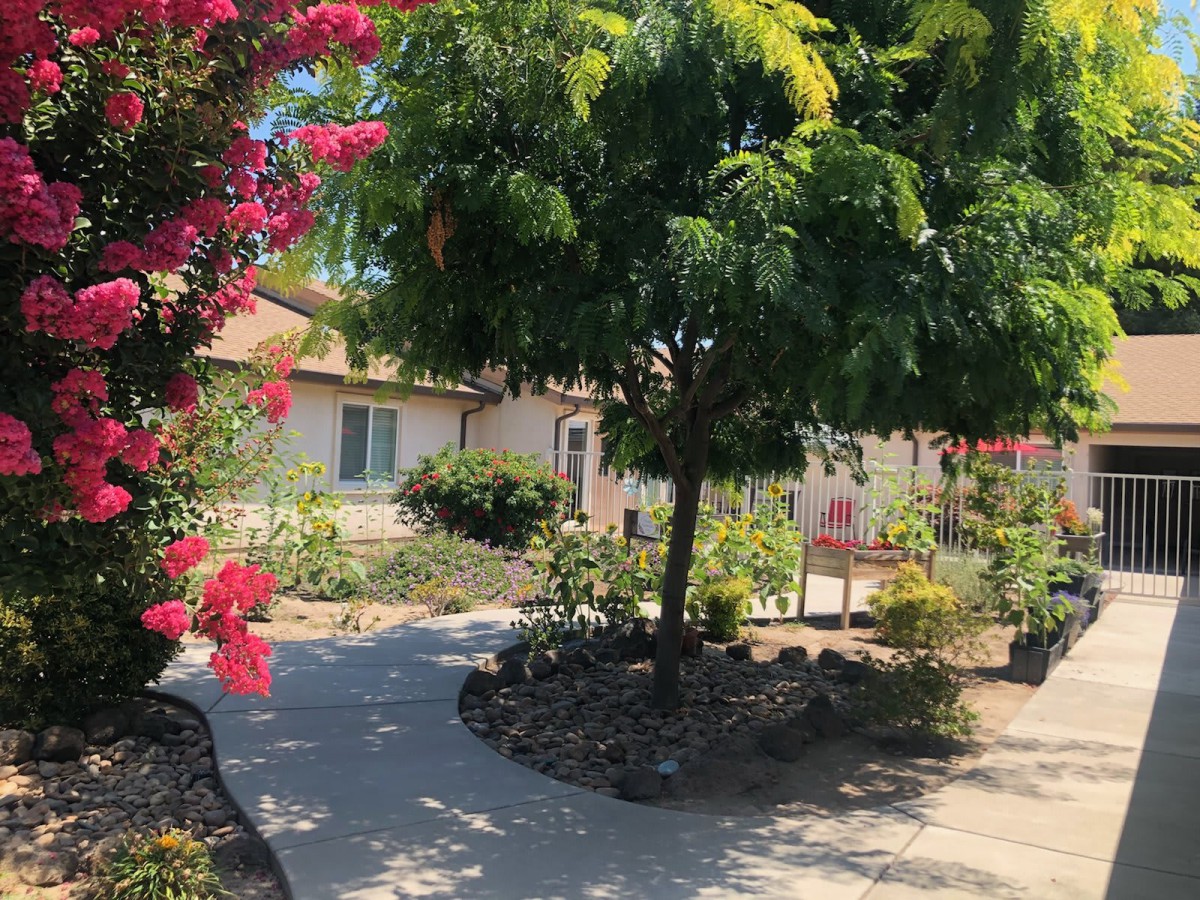 A peaceful garden path leading to a cozy house, surrounded by lush trees and vibrant flowers.