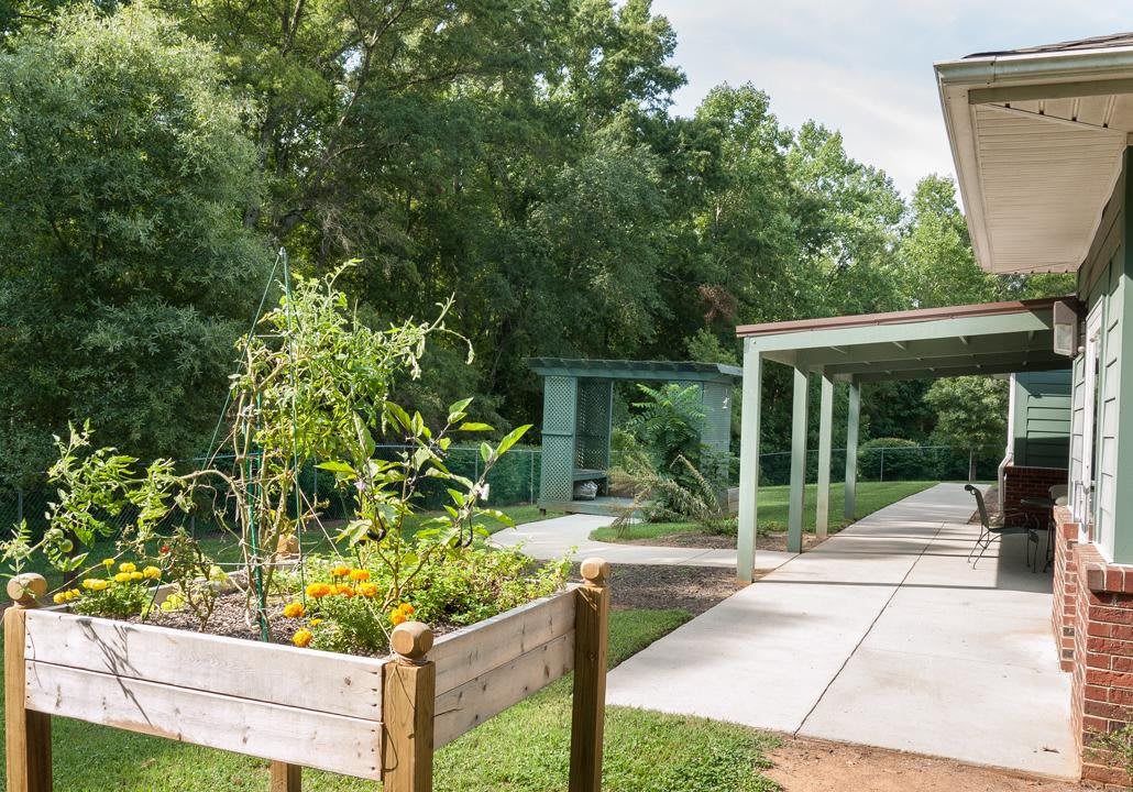 A peaceful outdoor scene with a raised garden bed and a walkway surrounded by lush greenery.