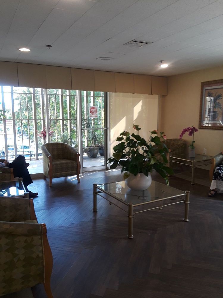 A well-lit waiting room with chairs, a table, and a large plant near a window.