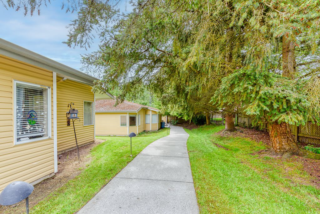 A serene residential pathway lined with houses and trees.