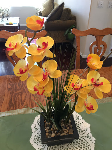 A beautiful arrangement of yellow orchids, adding a touch of elegance to the indoor space.