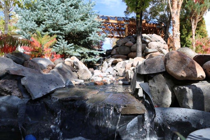 A serene waterfall flows over rocks surrounded by trees, with a wooden bridge in the background.