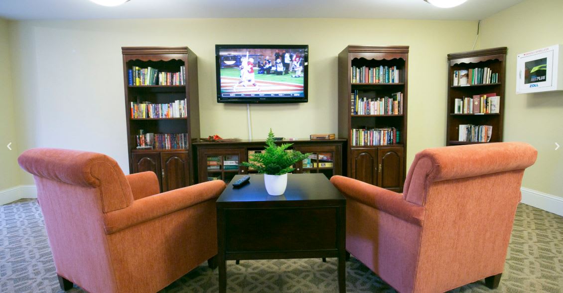 A cozy living room setup with bookshelves, a wall-mounted television, and comfortable chairs around a central table with a plant.