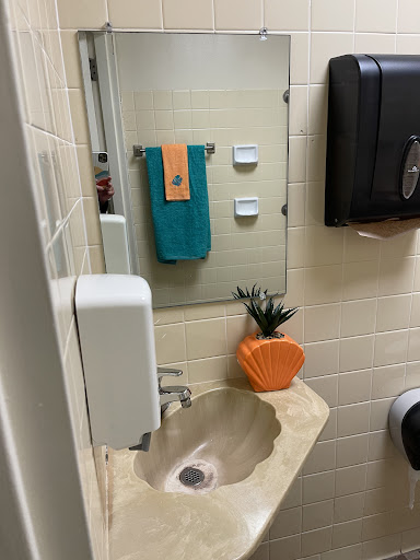 A neatly arranged bathroom featuring a sink, mirror, towels, and decorative plant.