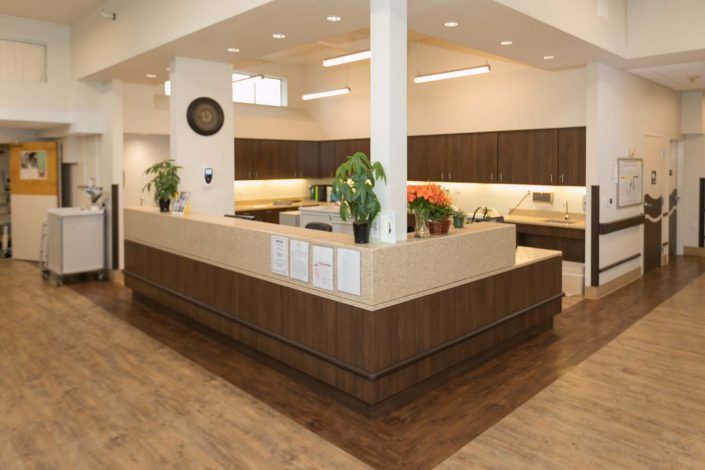 A modern office reception area featuring sleek wooden paneling and indoor plants.