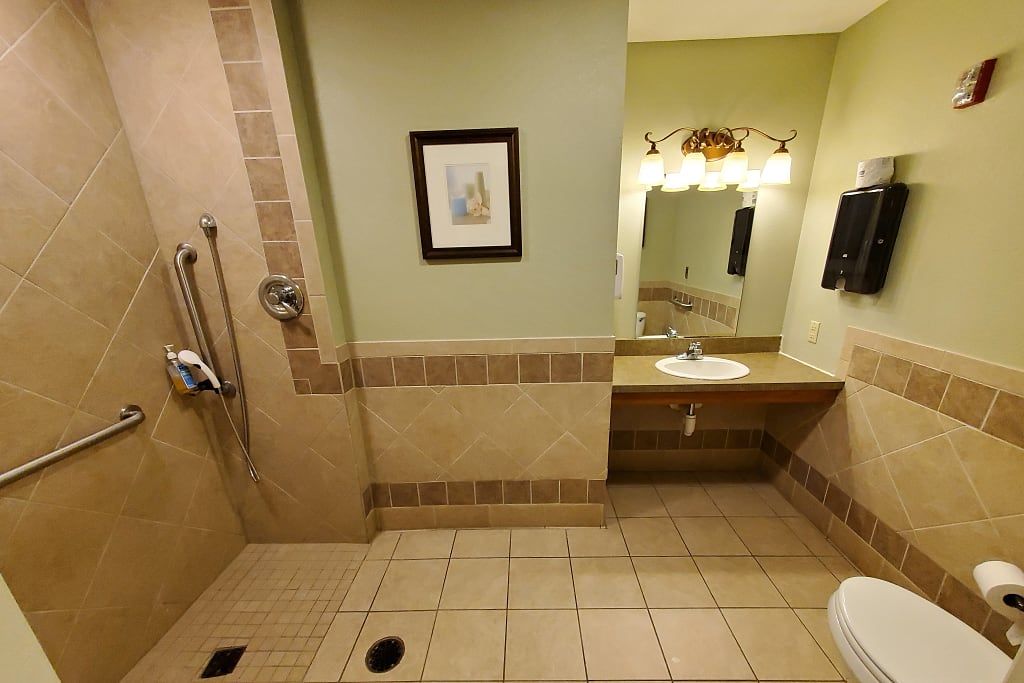 An accessible bathroom with a walk-in shower and handrails, featuring a mirror and sink.