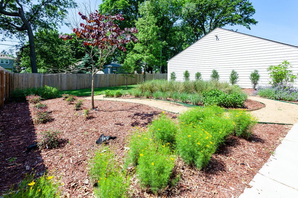 A landscaped garden featuring a variety of plants, shrubs, and trees with a mulched area and a small pathway.