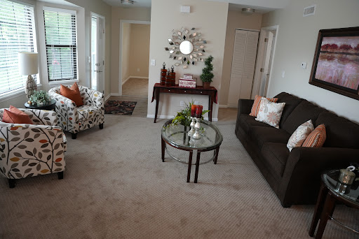 A cozy living room featuring a mix of stylish furniture and decorative elements.