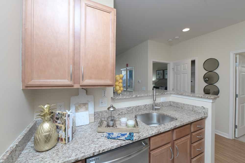 A modern kitchen with wooden cabinets and a granite countertop, featuring a sink and decorative elements.