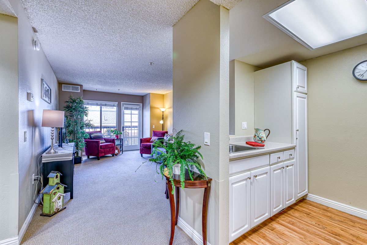 A bright and modern apartment interior featuring a cozy living room and adjacent kitchen area with stylish furnishings and plants.