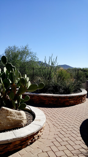 A serene desert landscape featuring a curved stone planter with cacti and lush greenery, set against a backdrop of mountains under a clear blue sky.