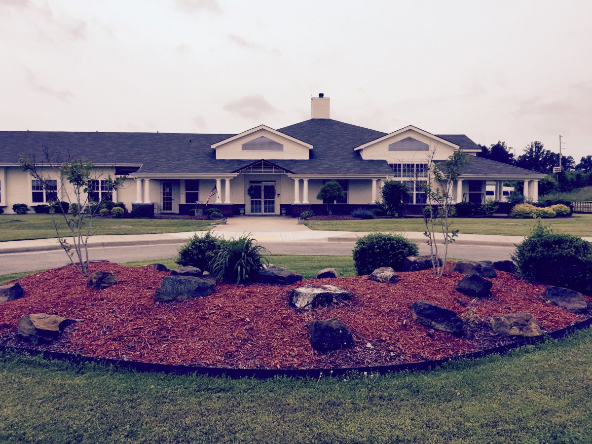 Suburban house with landscaped garden