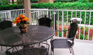 A cozy outdoor patio featuring a table and chairs, adorned with a vibrant potted plant.