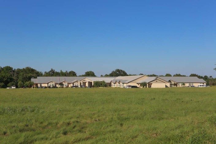A field with rows of solar panels under a clear blue sky.
