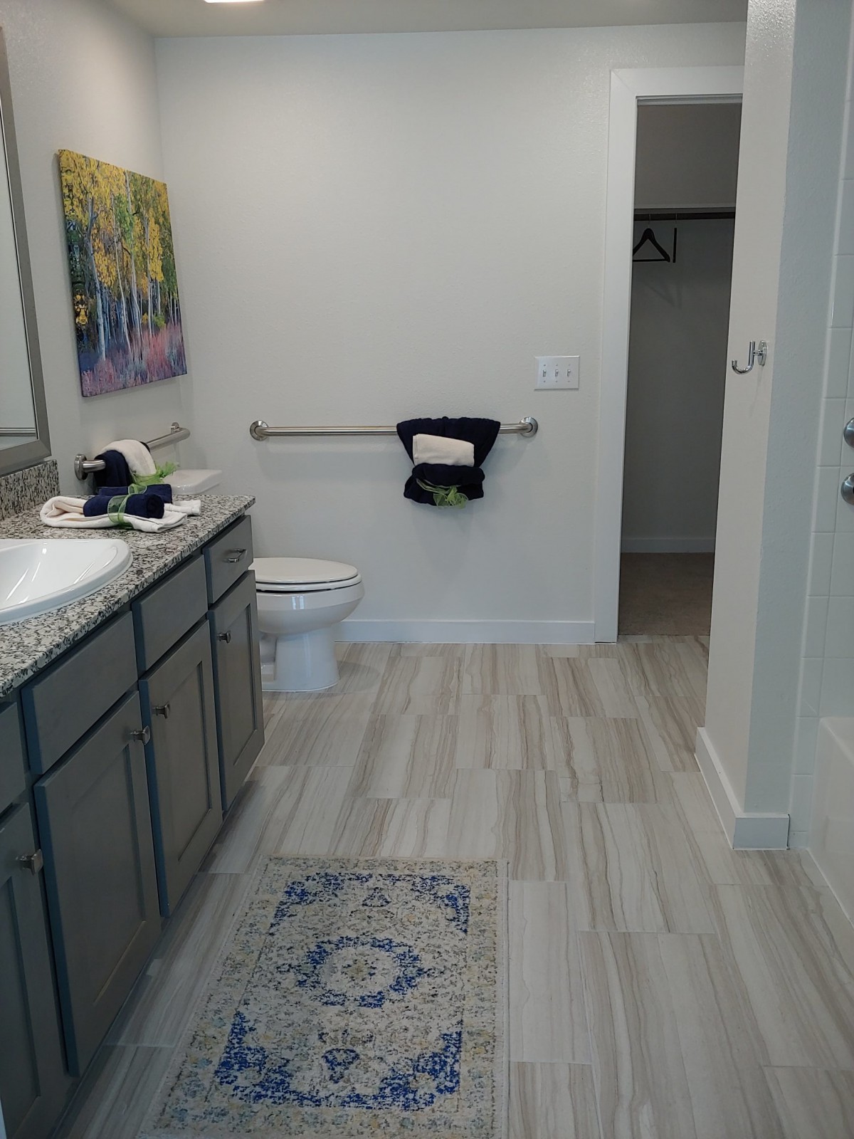 A modern bathroom with a vanity, toilet, and decorative elements.