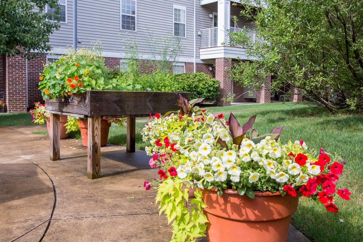 A colorful garden with potted flowers and a raised bed on a patio.