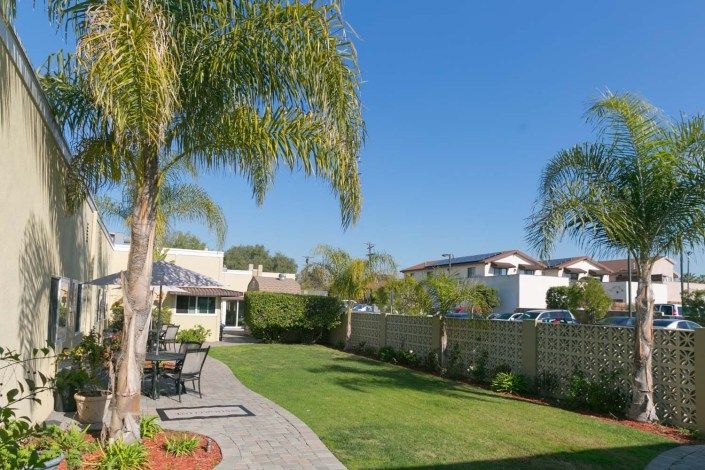 A sunny backyard featuring palm trees, a well-manicured lawn, and patio furniture.