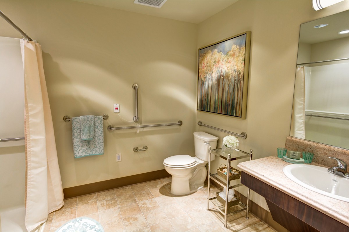 An accessible bathroom featuring a toilet, sink, handrails, and artwork on the wall.