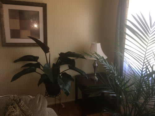 Ameristar Assisted Living Inc