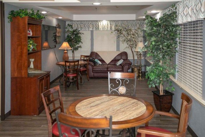 Cozy living room with elegant furnishings and decorative plants.