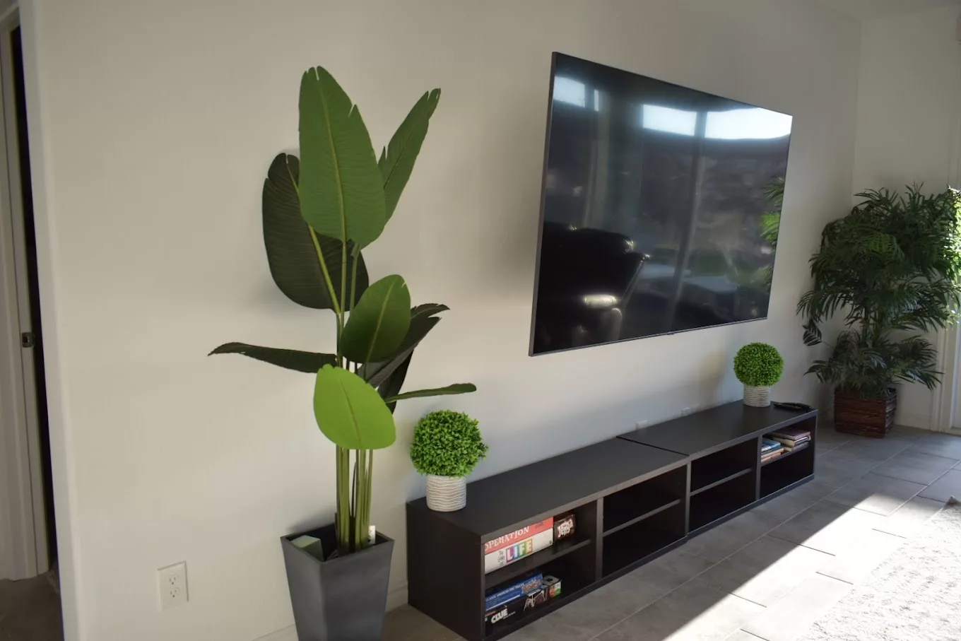 A modern living room with a large television and indoor plants enhancing the minimalist decor.