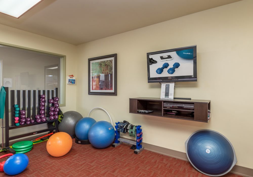 A fitness room equipped with dumbbells, exercise balls, and a television.