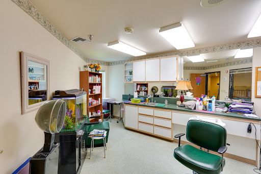 A well-organized medical office featuring green chairs and shelves filled with supplies.
