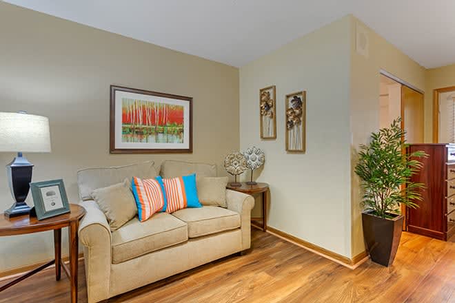 A cozy living room with a sofa adorned with colorful cushions, wall art, and indoor plants.