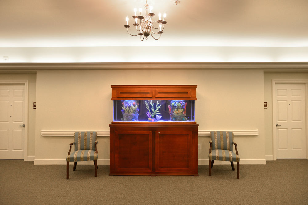 A beautifully designed room featuring a large wooden aquarium flanked by two elegant chairs under soft lighting.