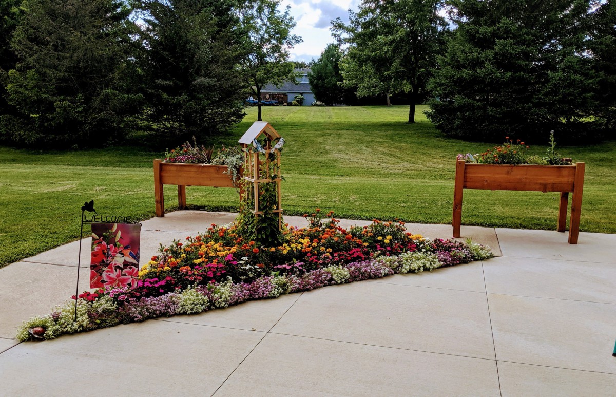 A beautiful garden with vibrant flowers and raised planters on a sunny day.
