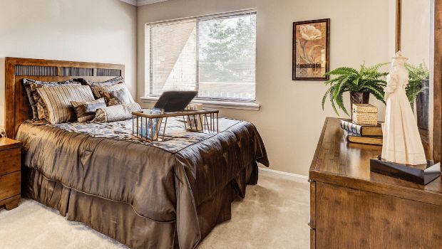 A cozy bedroom with a large bed, natural lighting from the window, and decorative elements.