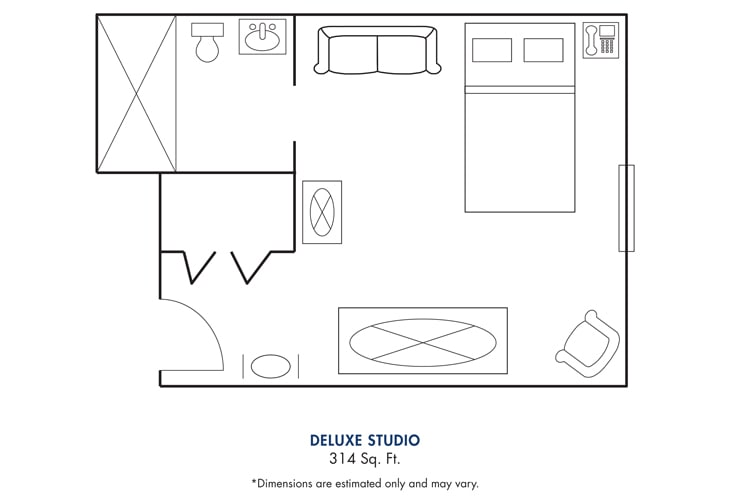 Floor plan of a deluxe studio apartment with designated areas for living, sleeping, and bathing.