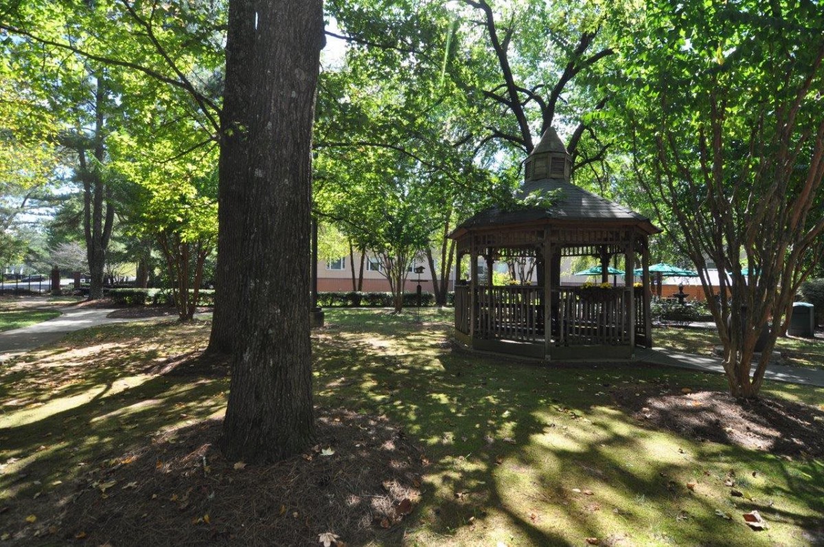 A serene park setting with a gazebo surrounded by trees and dappled sunlight.