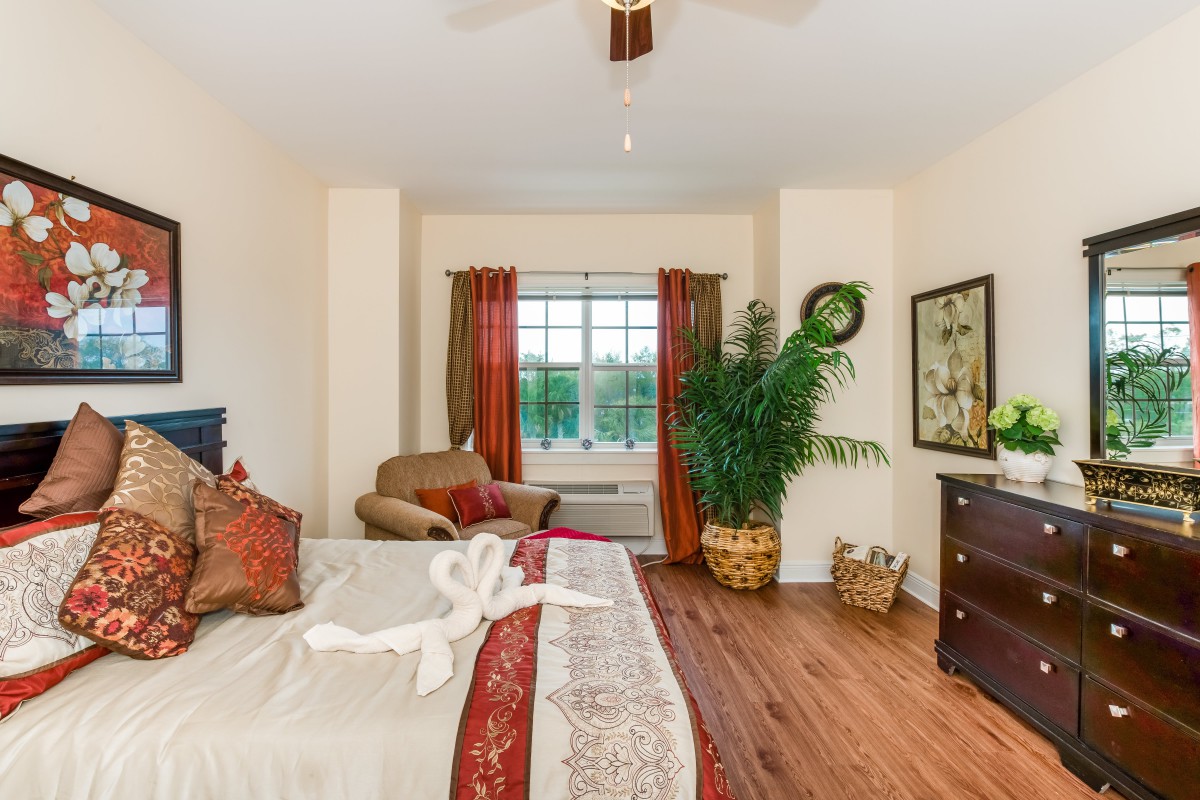 A well-decorated bedroom featuring a large bed, artwork on the walls, and lush plants by the window.