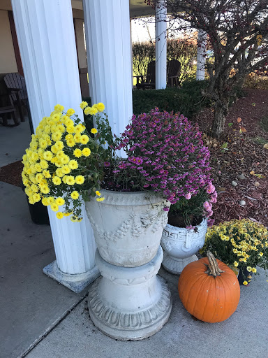 A charming autumn display featuring vibrant yellow and purple flowers alongside a decorative pumpkin.