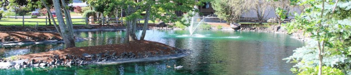A tranquil pond with a fountain and a duck swimming, surrounded by trees.