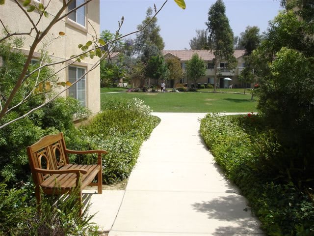A serene garden path with a wooden bench and lush greenery.