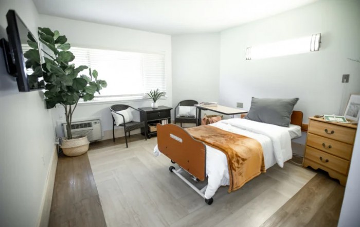 A modern hospital room with a bed, chairs, and a potted plant.