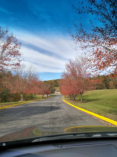Forest Ridge Manor