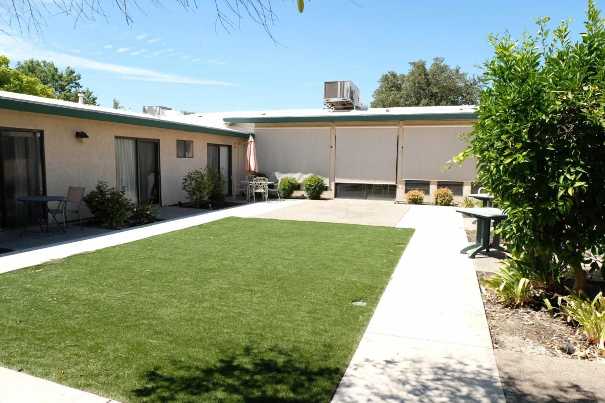 A sunny backyard with a well-maintained lawn and patio area.