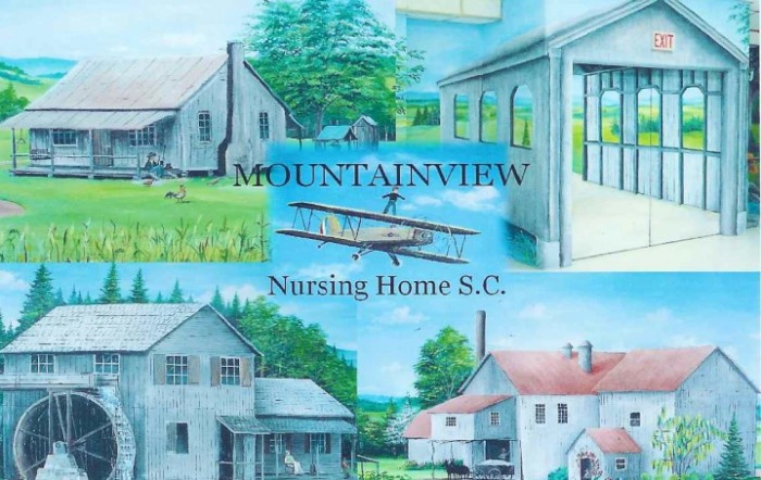 Mountainview Nursing Home