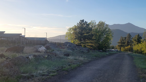 A serene morning scene featuring a dirt road leading towards lush greenery and distant mountains.