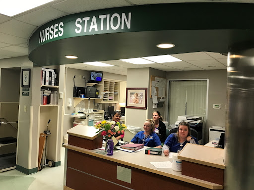 A bustling nurses station in a hospital, showcasing dedicated medical staff ready to assist.