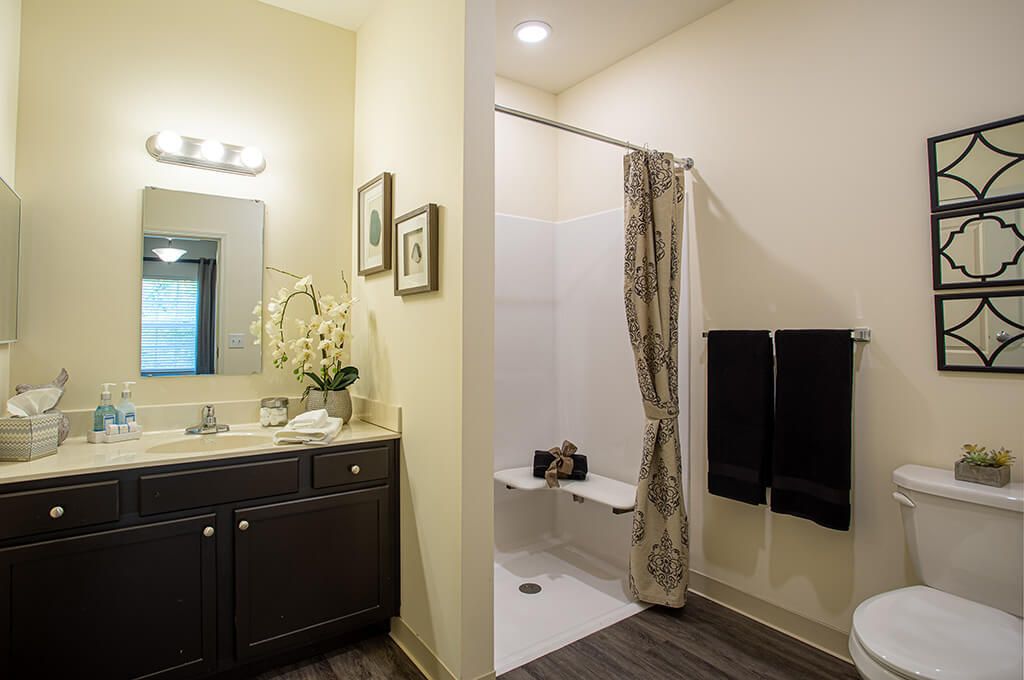 A modern bathroom featuring a dark vanity with a mirror, decorative elements, and a shower area with a curtain.